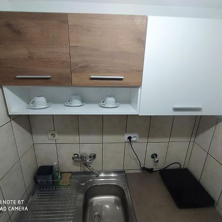 Apartman studio Pavle i Petra Sremski Karlovci Esterno foto