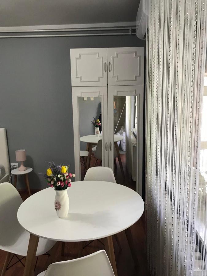 Apartman studio Pavle i Petra Sremski Karlovci Esterno foto