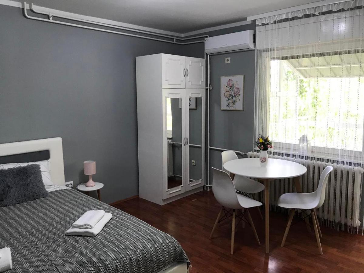 Apartman studio Pavle i Petra Sremski Karlovci Esterno foto