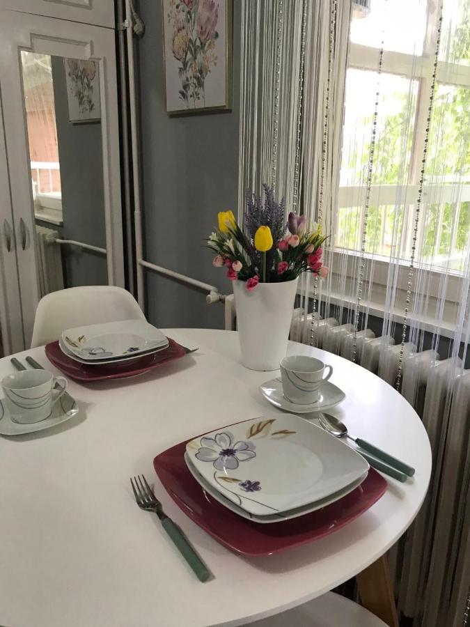 Apartman studio Pavle i Petra Sremski Karlovci Esterno foto
