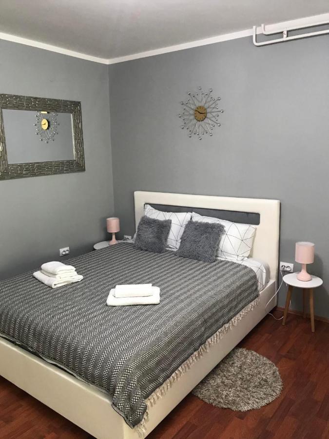 Apartman studio Pavle i Petra Sremski Karlovci Esterno foto