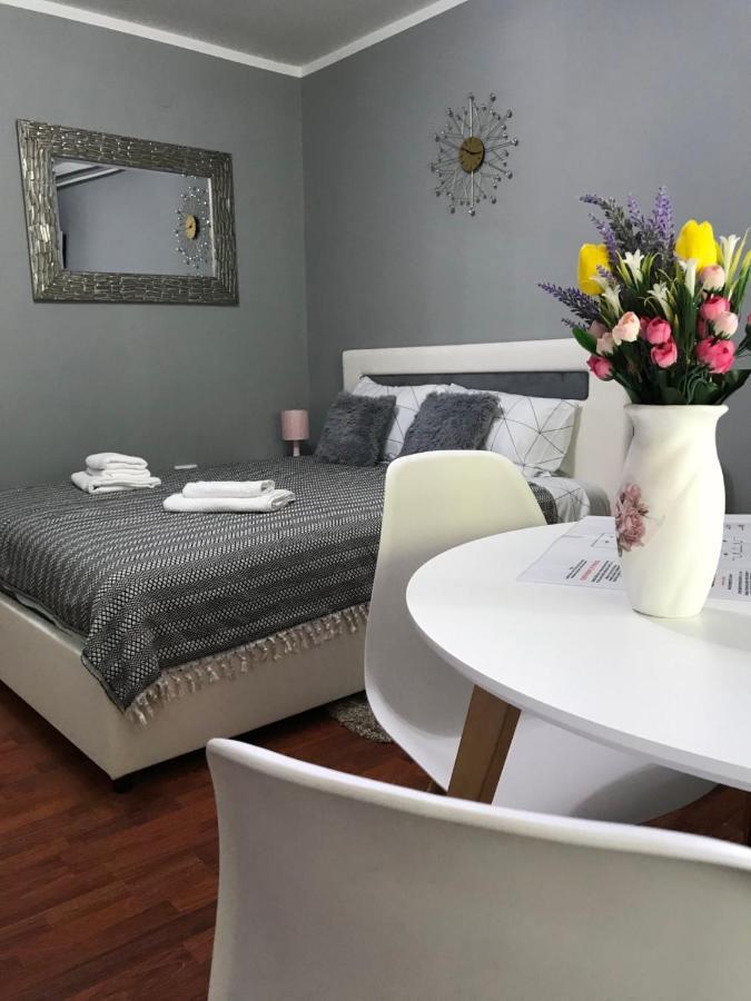 Apartman studio Pavle i Petra Sremski Karlovci Esterno foto