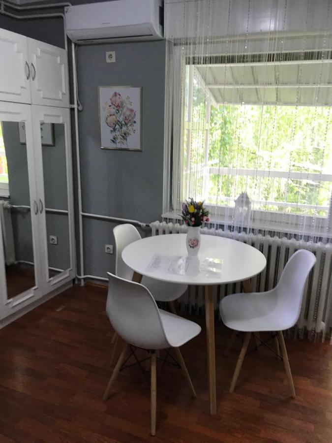 Apartman studio Pavle i Petra Sremski Karlovci Esterno foto