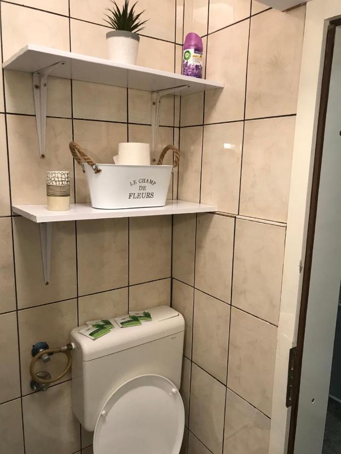 Apartman studio Pavle i Petra Sremski Karlovci Esterno foto