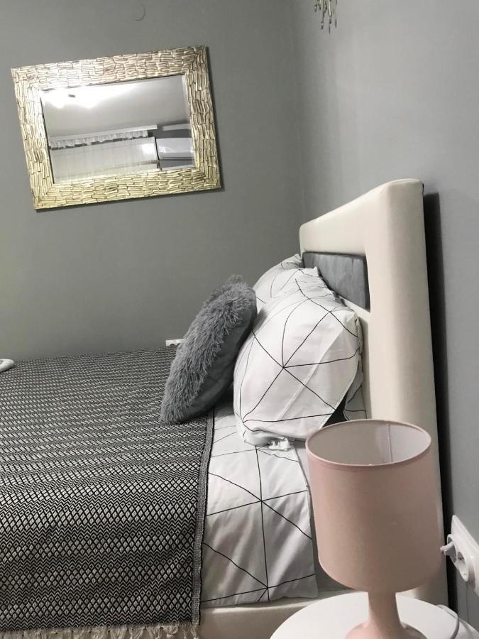 Apartman studio Pavle i Petra Sremski Karlovci Esterno foto