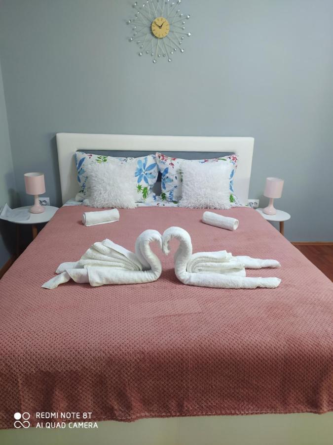 Apartman studio Pavle i Petra Sremski Karlovci Esterno foto