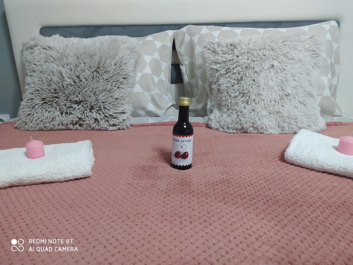 Apartman studio Pavle i Petra Sremski Karlovci Esterno foto