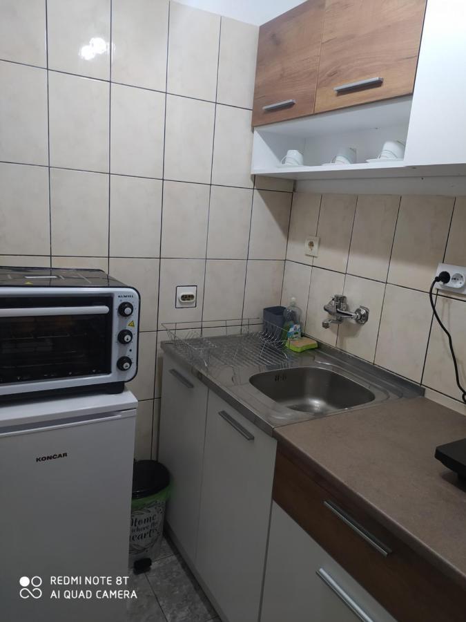 Apartman studio Pavle i Petra Sremski Karlovci Esterno foto